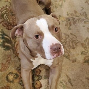 Meet your Posher, Sierra